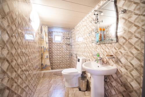 a bathroom with a sink and a toilet and a mirror at Cozy apartment near Kobuleti with mountain view in K'obulet'i