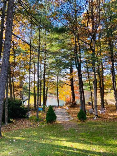 a path through a park with trees and a lake at Clear Pond Getaway in Plymouth
