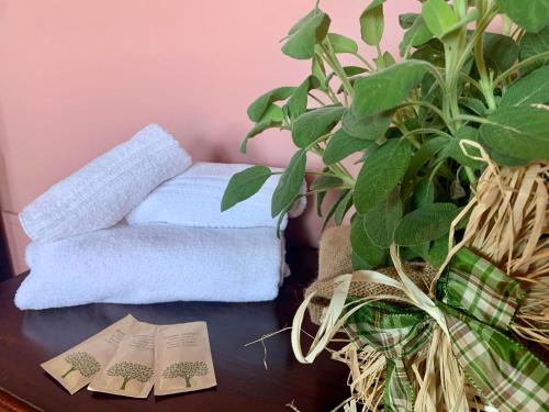a table with a towel and two potted plants at Sibolla Holidays in Altopascio