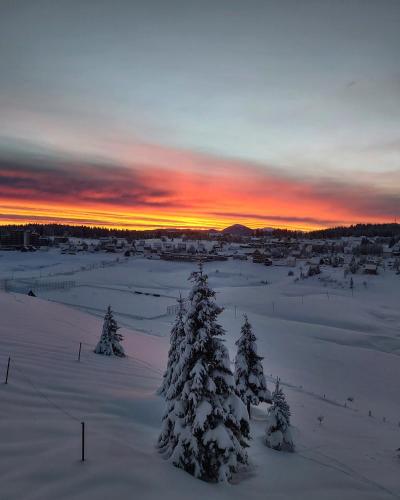a winter sunset with snow covered trees in a field at Petrovača in Žabljak