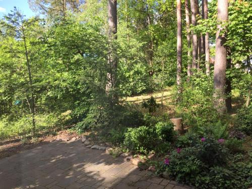 a path in the woods with trees and flowers at Wald und Wohlsein in Beelitz
