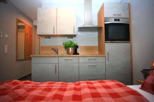 Una pequeña cocina con fregadero y refrigerador. en Überlinger See-Apartments Apartment 6 Über-See, en Überlingen