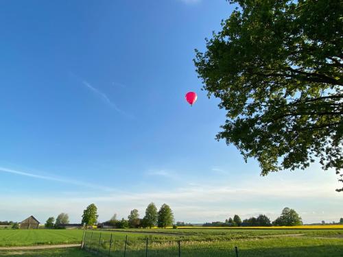 a red balloon in the sky over a field at Zagroda u Leny - Dom na wyłączność in Czyże