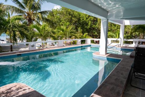 a swimming pool with blue water and palm trees at La Vida Perezosa in Caye Caulker