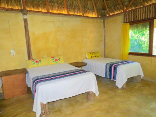 a room with two beds and a window at Cabañas Calakmul in Conhuas