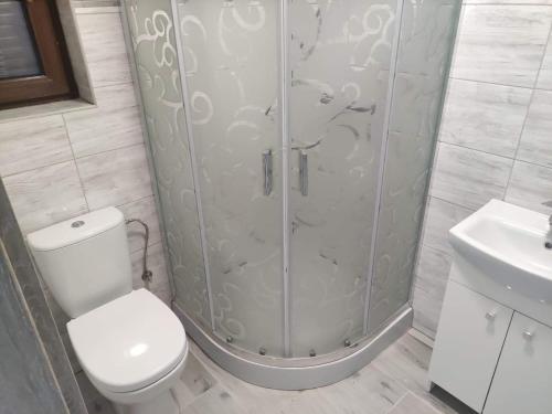 a bathroom with a shower with a toilet and a sink at Tęczowe Lato in Sarbinowo