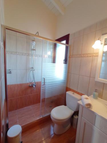 a bathroom with a shower and a toilet and a sink at Villa Katia in Tsoukaladhes
