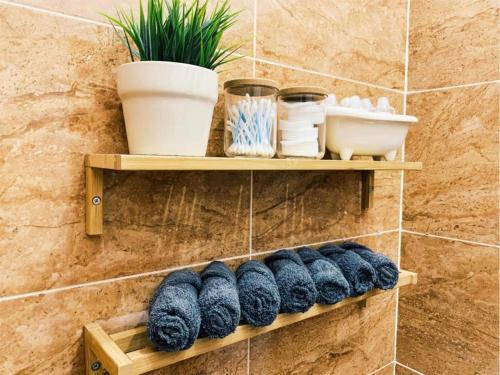 a shelf in a bathroom with some plants on it at Palacio Real Citymad in Madrid