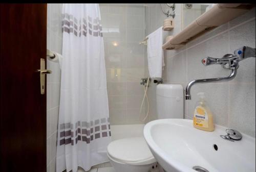 a bathroom with a toilet and a sink and a shower at Milojka in Senj
