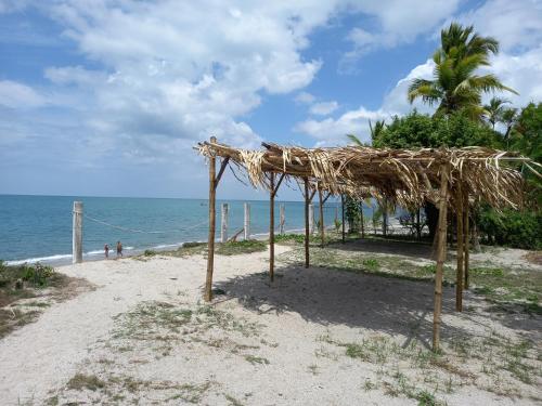 a straw hut on a beach near the ocean at Togo B&B Farallon in Playa Blanca