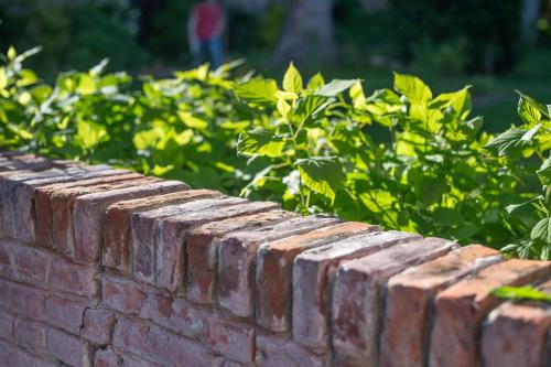 a brick wall with green bushes in the background at les Myrrhophores et Spa, Chambres d'Hôtes et Gîtes de charme in Abbeville