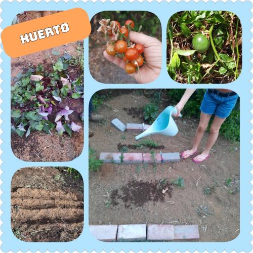 a collage of photos of plants and vegetables at MI CUMANESA in Frontera