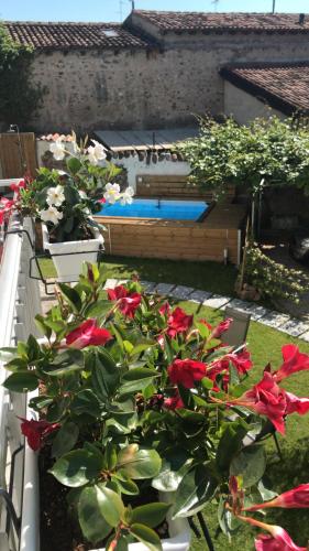 a garden with red flowers and a swimming pool at Casale LUEL in Valeggio sul Mincio