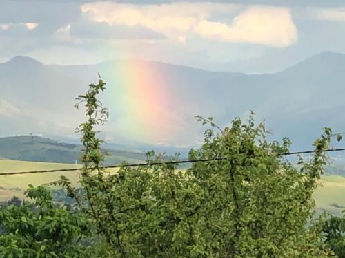 a rainbow in the sky over some trees at Sunshine villa Dzhigurovo in Sandanski
