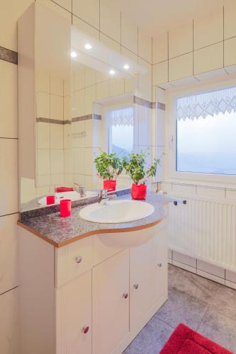 a bathroom with a sink and a large mirror at Berghof Vöglerbrand in Andelsbuch