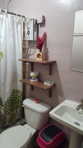 a bathroom with a toilet and a sink at Hotel El Colibri Rojo - Cabinas - Le Colibri Rouge in Cahuita