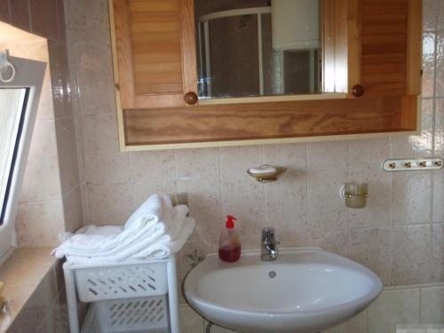 Koupelna v ubytování Apartment in Kukljica with sea view, terrace, air conditioning, Wi-Fi (4567-3)