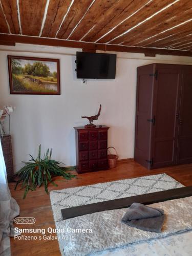 TV a/nebo společenská místnost v ubytování Atelier Spojovaci
