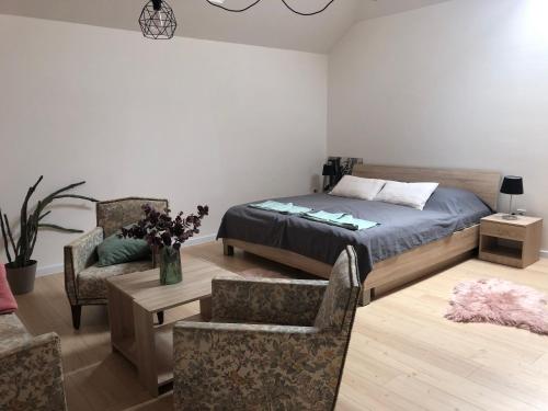 盧切內茨的住宿－Apartmány Reduta，一间卧室配有一张床、一把椅子和一张桌子