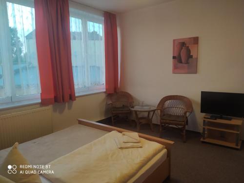 a bedroom with a bed and a tv and a table at ALTE MOLKEREI Wolgast in Wolgast