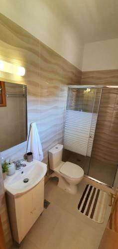 La salle de bains est pourvue d'un lavabo, de toilettes et d'une douche. dans l'établissement Nicoll Apartments, à Acharavi