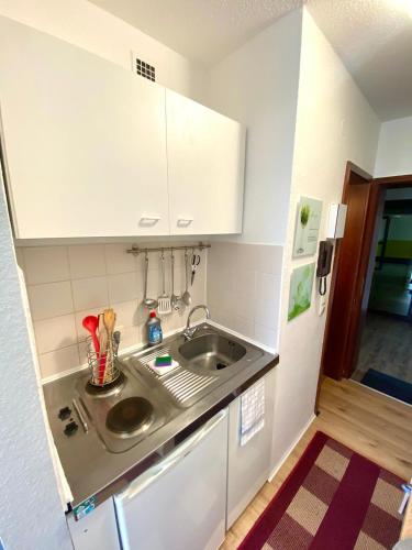 美因茨的住宿－Appartement Universität Mainz，一间带水槽和冰箱的小厨房