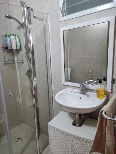 uma casa de banho com um lavatório e um chuveiro em Eden's Sweet Place em Eilat