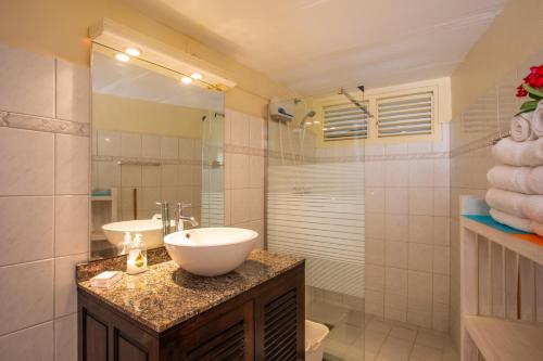 a bathroom with a sink and a mirror at Bungalow Hopi Bon in Willemstad
