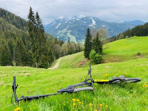 a bike laying in the grass in a field at Bergkristallhaus in Ramsau am Dachstein