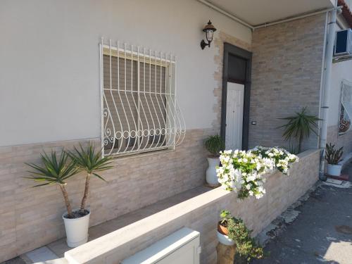 a house with potted plants and a window at B&B Petra Hercules in Torre Annunziata