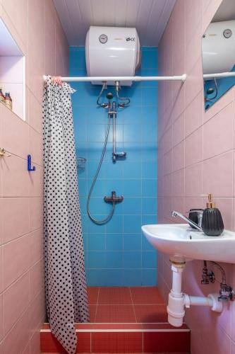 a bathroom with a sink and a shower at Nameliai pas Jolita in Palanga