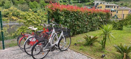 Galería fotográfica de Casa Cristina en Montale