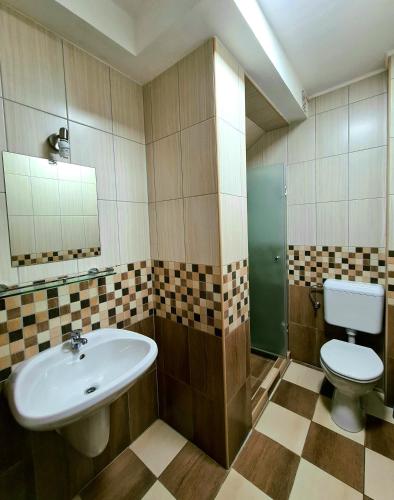 a bathroom with a sink and a toilet at Székely Ház in Sopron