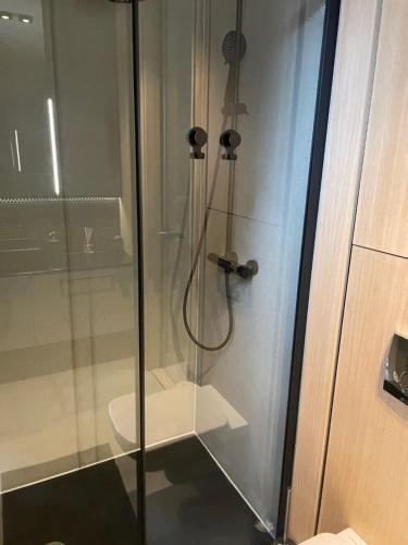 a shower with a glass door next to a toilet at Vila M15 in Topliţa