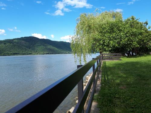 a fence next to a body of water at Dedin raj in Golubac