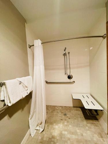 a bathroom with a shower with a bench in it at Quality Inn Madison West Near University Area in Madison