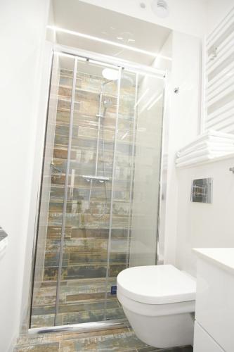 a bathroom with a toilet and a glass shower at Blue Sky Apartments Rezydencja Niechorze - 301 in Niechorze