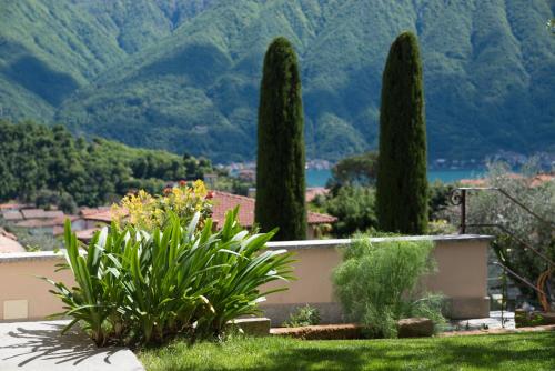 a garden with trees and mountains in the background at Mansarda I Cipressi in Lenno