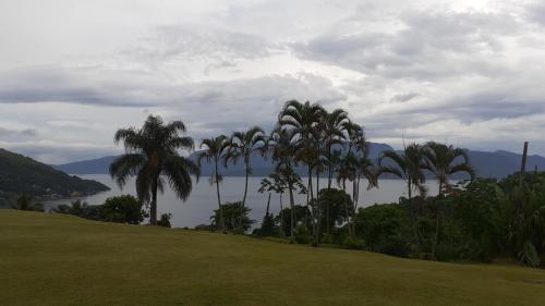 a group of palm trees on a hill next to a lake at Angra dos Reis Flat Suíte no Portogalo in Angra dos Reis