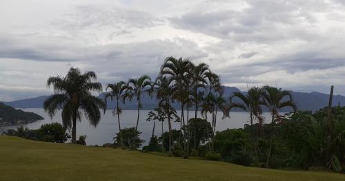 a group of palm trees on a hill next to a lake at Angra dos Reis Flat Suíte no Portogalo in Angra dos Reis