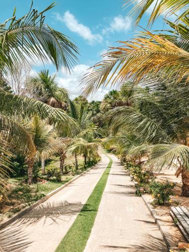 a road lined with palm trees on a beach at Pousada Vasto Horizonte in Barreirinhas