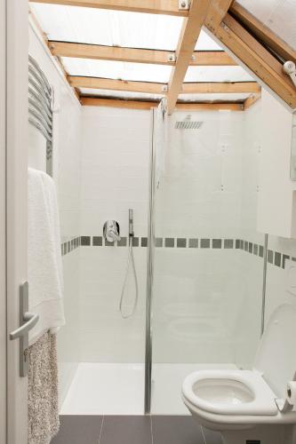 a bathroom with a shower and a toilet at Appartamento Piera Rossa in Venice