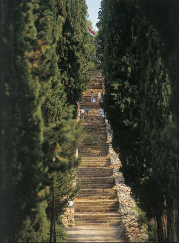 a set of stairs between two rows of trees at Ferienhaus SIKLUH-128-4 in Lumbarda