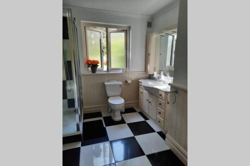 a bathroom with a toilet and a black and white checkered floor at Green Garden meets Blue sea for 2 people in Dingle