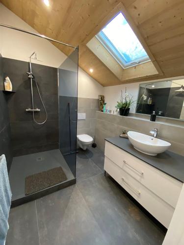 une salle de bain avec une douche, un lavabo et des toilettes dans l'établissement GITE DU BOIS DES HAUTS LES MILLE ETANGS, à La Lanterne-et-les-Armonts