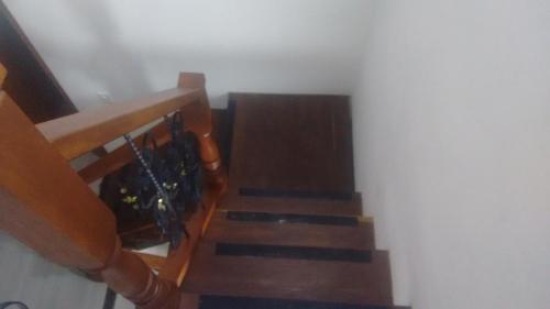 a set of stairs in a stair case with a plant at Hostal central villa rosita in Villa de Leyva