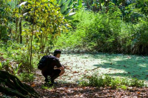 a man with a backpack kneeling on a path in a forest at Karandi Hostel in Uvita