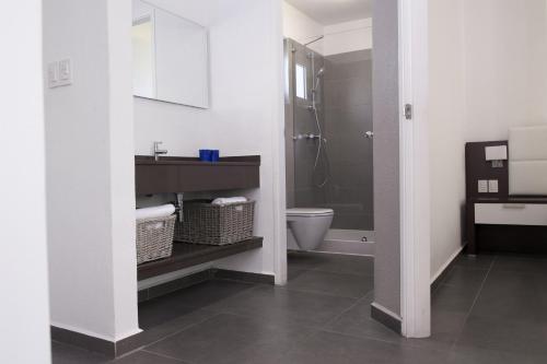 ein Bad mit einem WC, einem Waschbecken und einer Dusche in der Unterkunft Trupial Hotel & Casino in Willemstad