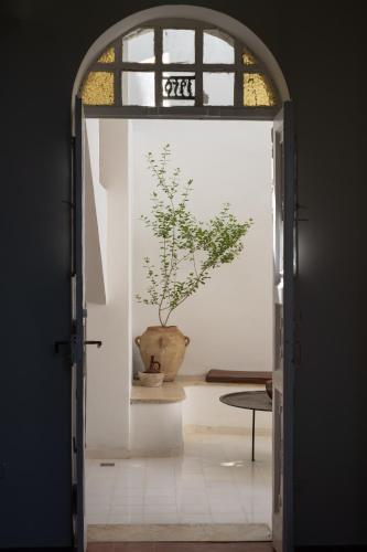 an open door with a plant in a vase at Khan Ein Karem Boutique Hotel in Jerusalem