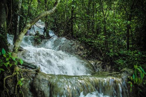 a waterfall in the middle of a forest at 500 Rai Floating Resort in Ratchaprapha